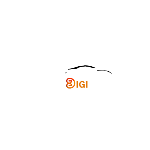 DigiCar